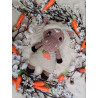 Praline_mon_petit_poney - Les minis ptits cotons