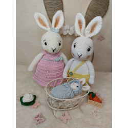 Pack Famille Paquerette