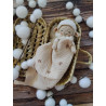 Coton_les_minis_ptits_cotons