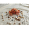 Surymee_les_ptits_accessoires